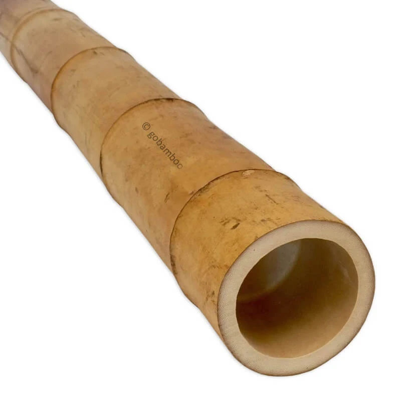 Bambuszrúd Moso Ø 11-12 cm